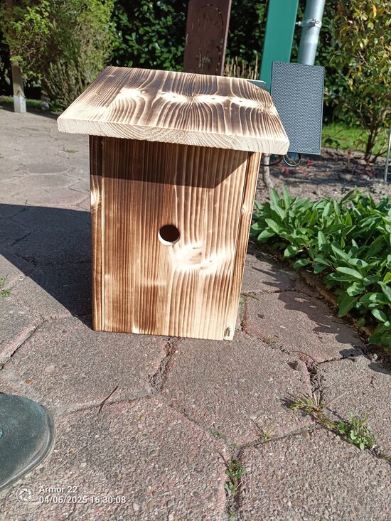 Meisen Nistkasten mit Solar WLAN WiFi Kamera 